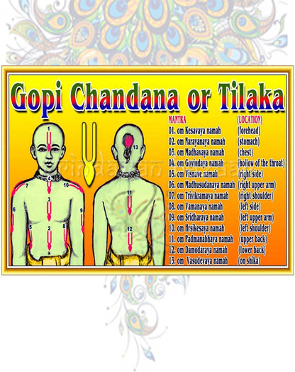 Gopi Chandan Tilak Powder Stick (Set-Small, Large, ROLL & Tilak)