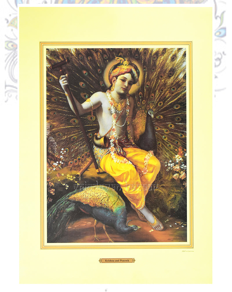 Krishna and Peacock_M_14" X 19"