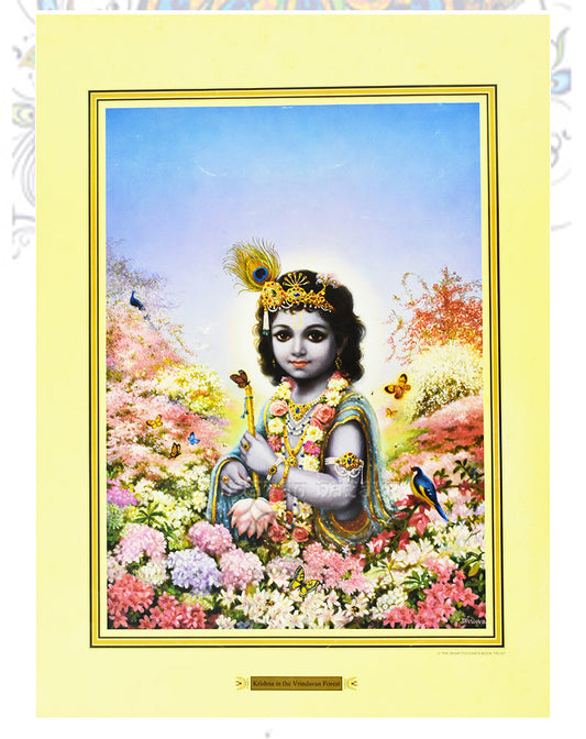 Krishna in Vrindavan_M_14" X 19"