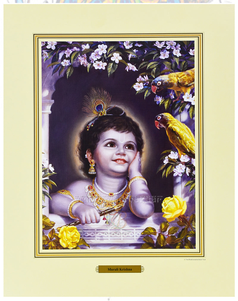 Murli Krishna_S_11" X 14"