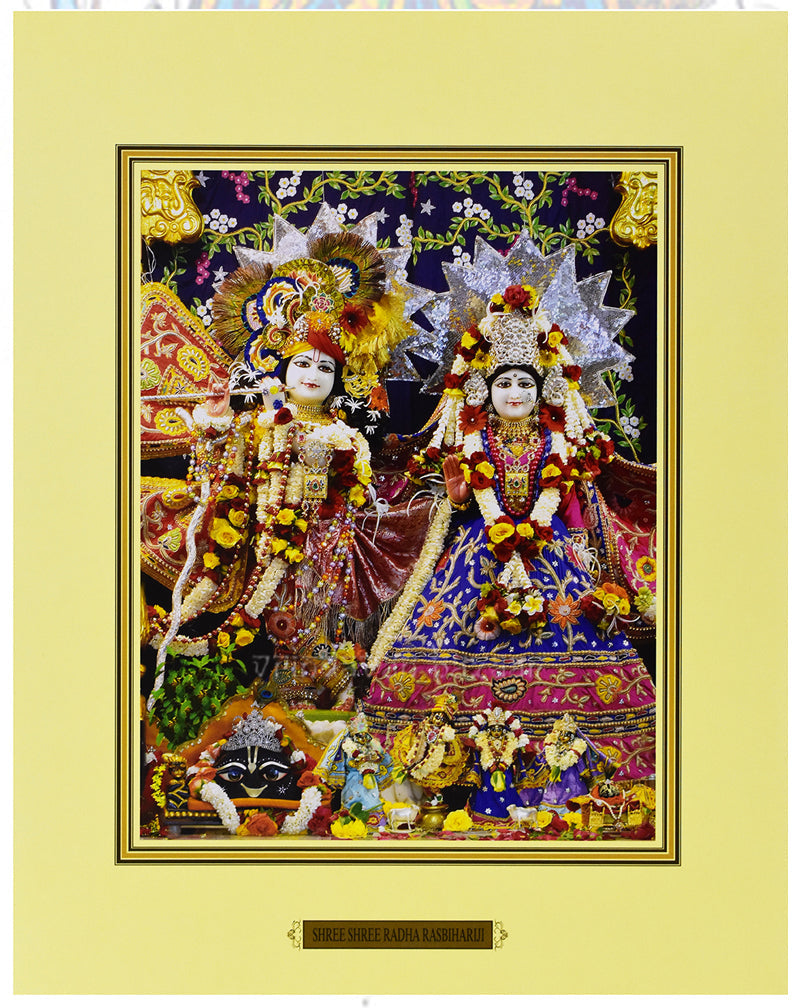 Shri Shir Radha Rasbihariji_S_11" X 14"