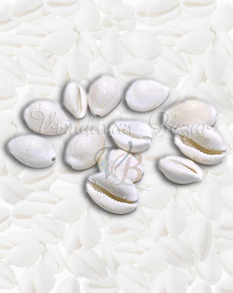 Yellow Lakshmi Cowrie/ Kowdi Sea Shells- 7 Pieces