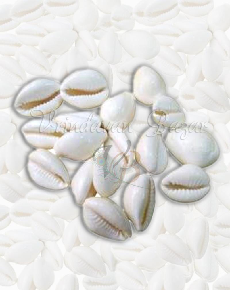 Yellow Lakshmi Cowrie/ Kowdi Sea Shells- 7 Pieces