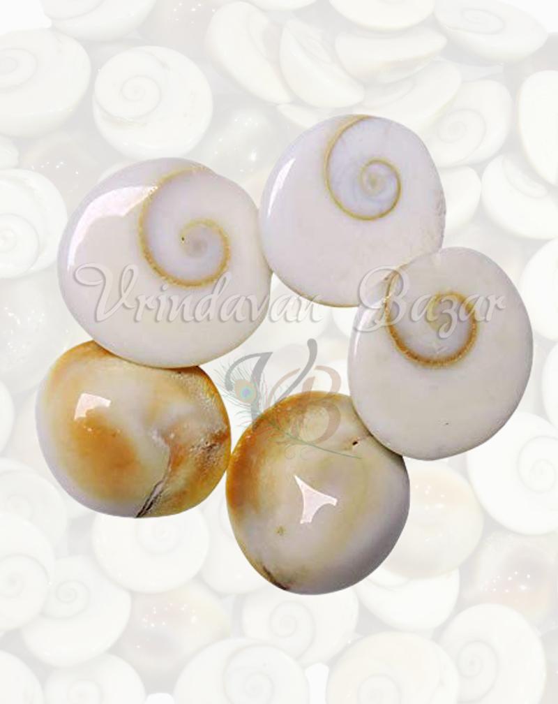 Gomti Chakra-5 pieces