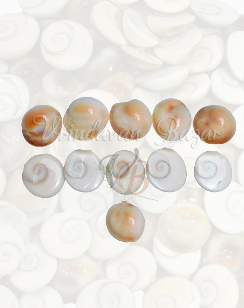 Gomti Chakra-5 pieces
