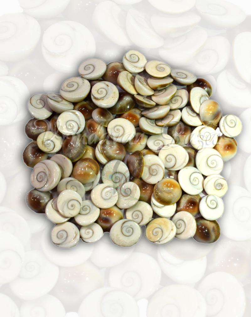 Gomti Chakra-5 pieces