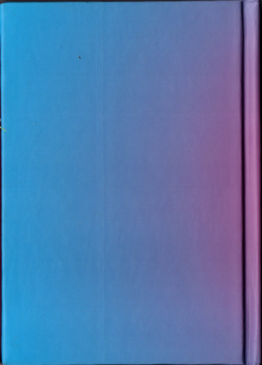 ISKCON Goloka Vrindavan Diary 2022