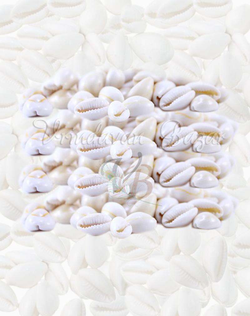 Yellow Lakshmi Cowrie/ Kowdi Sea Shells- 7 Pieces