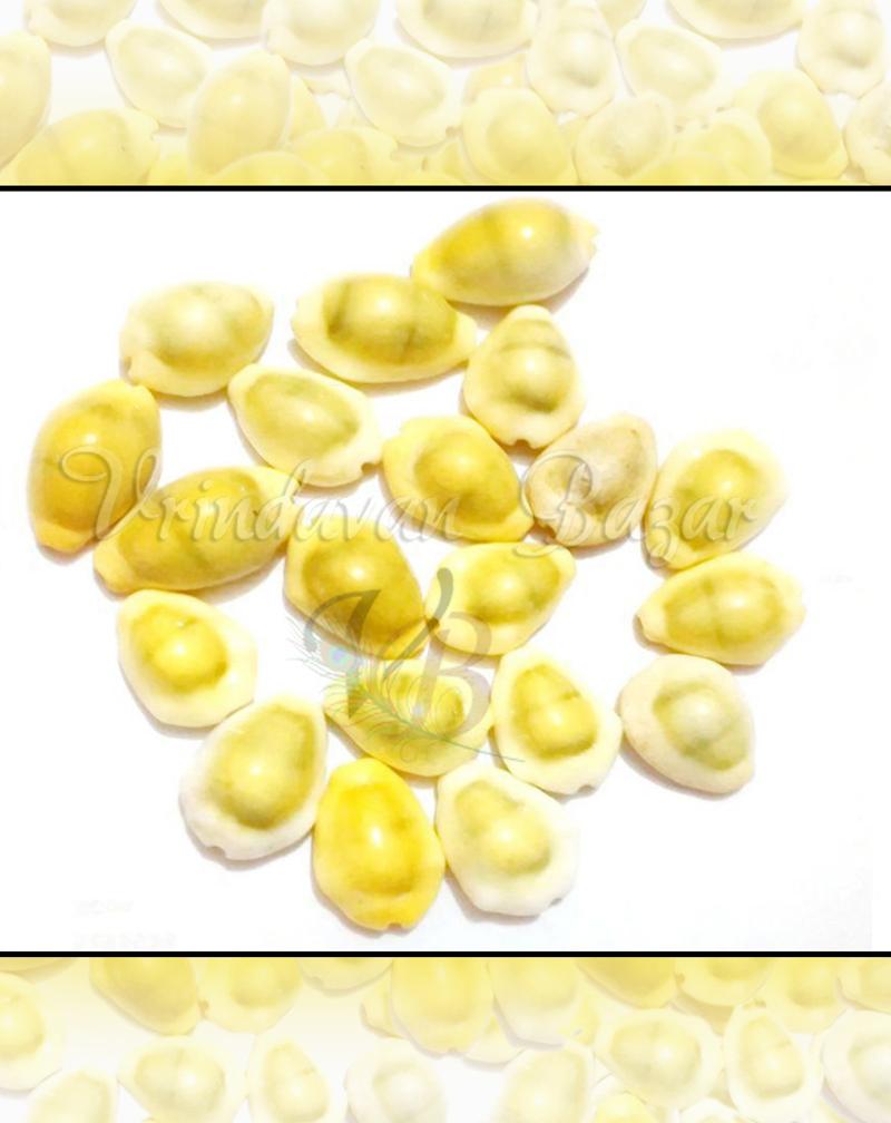 Yellow Lakshmi Cowrie/ Kowdi Sea Shells- 7 Pieces