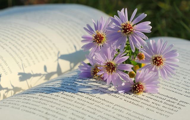 Web Content Image