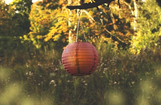 Web Content Image