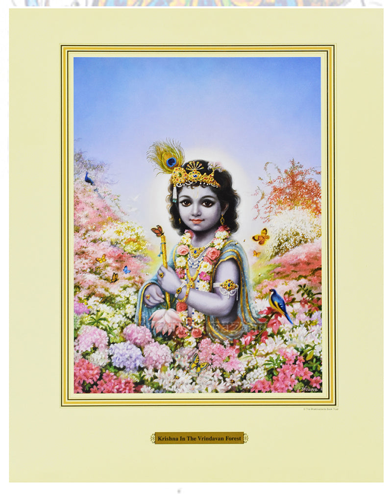 Krishna in Vrindavan_S_11" X 14"
